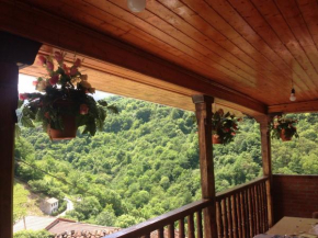 Отель Casa Rural La Corrada  Llamoso